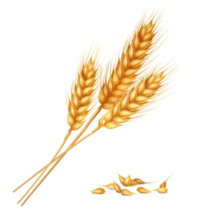 Patisserie Chocolaterie Vincent Conter Chocolatier Angouleme Avant