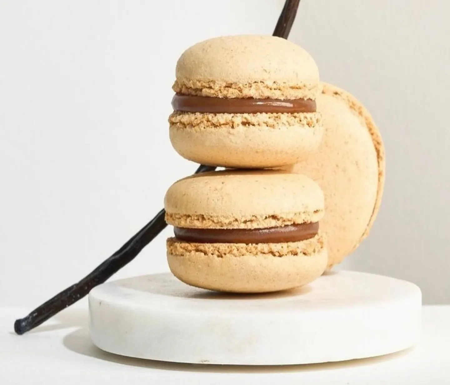 Patisserie Chocolaterie Vincent Conter Chocolatier Angouleme Patisserie Chocolaterie Vincent Conter Chocolatier Angouleme Chocolaterie 1 1 1